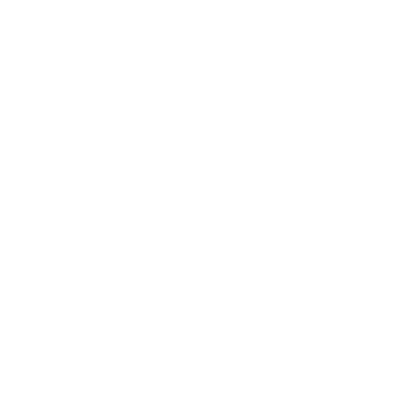 Click it or Ticket Logo